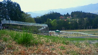 201104171447000.jpg