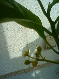 201105260828000.jpg